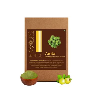 https://cdn.shopify.com/s/files/1/1857/6931/files/P2ZPXX8a4T.png?v=1731320491
